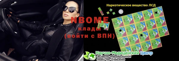 шишки Дмитровск