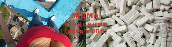шишки Дмитровск