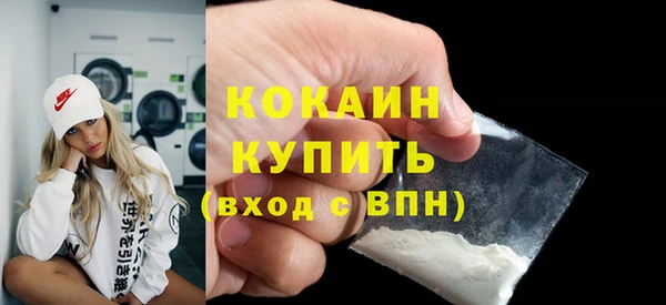 шишки Дмитровск