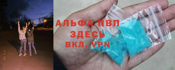 шишки Дмитровск