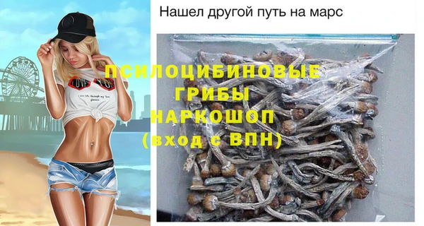 первитин Дмитриев