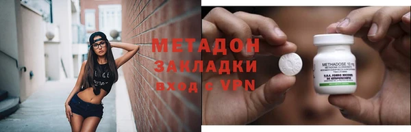 шишки Дмитровск