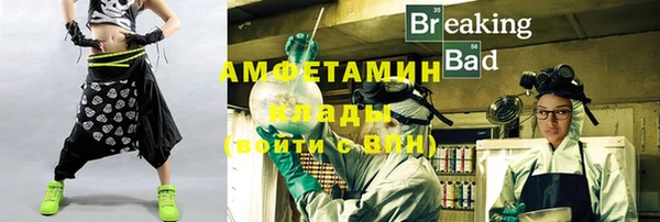шишки Дмитровск