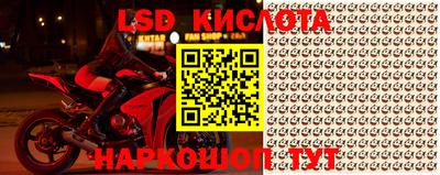 дживик Берёзовский