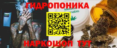 стаф Гусев