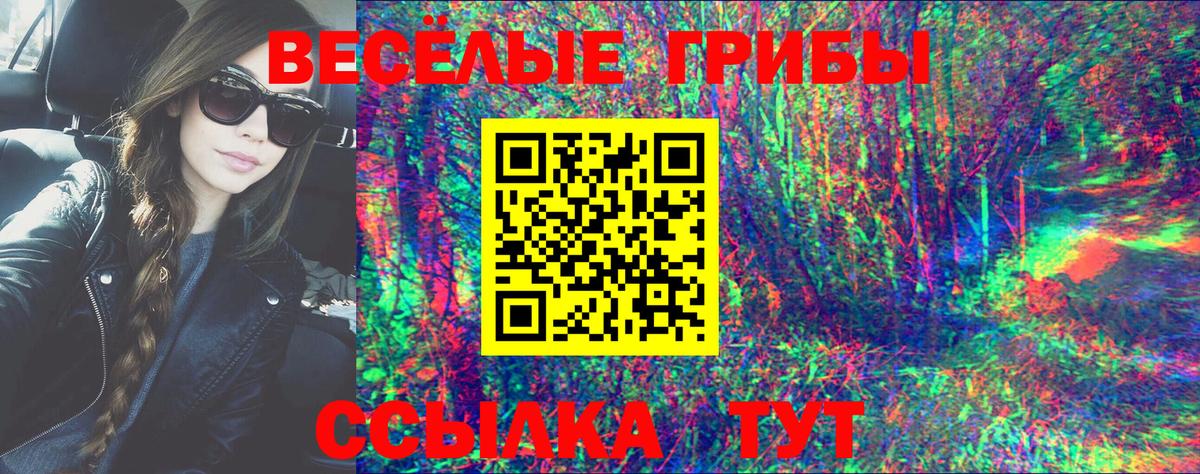 Галлюциногенные грибы Cubensis Дербент