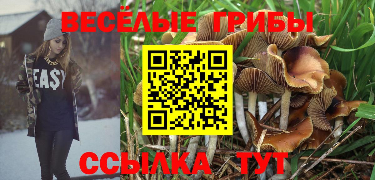 Псилоцибиновые грибы Magic Shrooms  Вход с VPN  Дербент  Галлюциногенные грибы MAGIC MUSHROOMS 