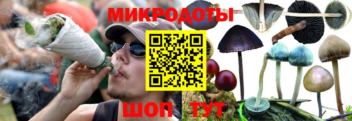 Псилоцибиновые грибы MAGIC MUSHROOMS Дербент